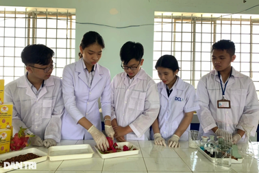 Làm bột đất nặn từ vỏ thanh long, học sinh phố núi "ẵm" giải Nhất quốc gia