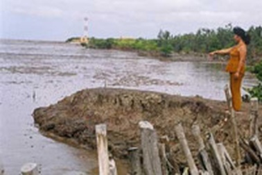 Sinh mạng "treo" đầu sóng ngọn gió