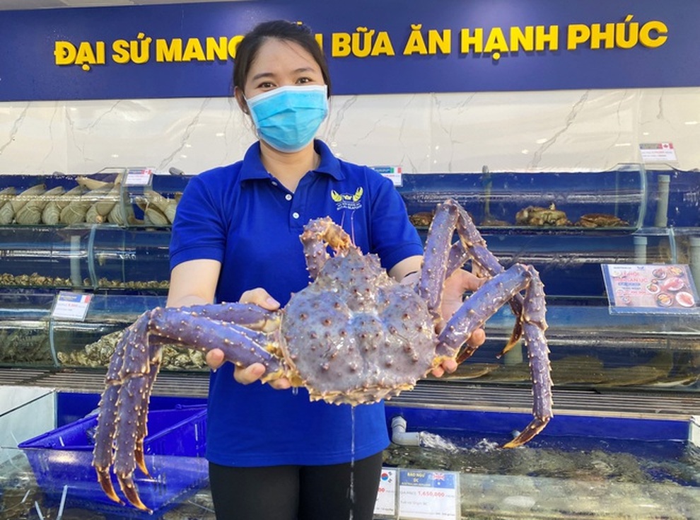 Tại sao cua hoàng đế có màu tím xanh, ăn có độc không? - 1 Tại sao cua hoàng đế có màu tím xanh, ăn có độc không? - 1