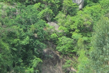 Vụ sạt lở đá khổng lồ: Sẽ mời Viện Vật lý địa cầu đến khảo sát