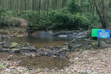 Hai học sinh đuối nước tử vong khi tắm suối