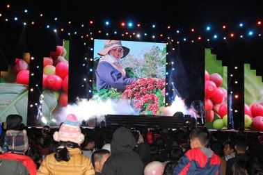 Nhộn nhịp trước thềm năm mới 2018