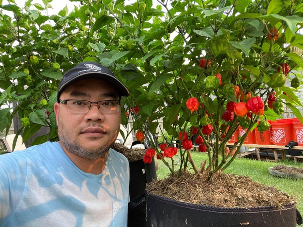 Trào lưu làm vườn, trồng cây gia vị hiếm có khó tìm của các ông bố Việt - 11 Trào lưu làm vườn, trồng cây gia vị hiếm có khó tìm của các ông bố Việt - 11