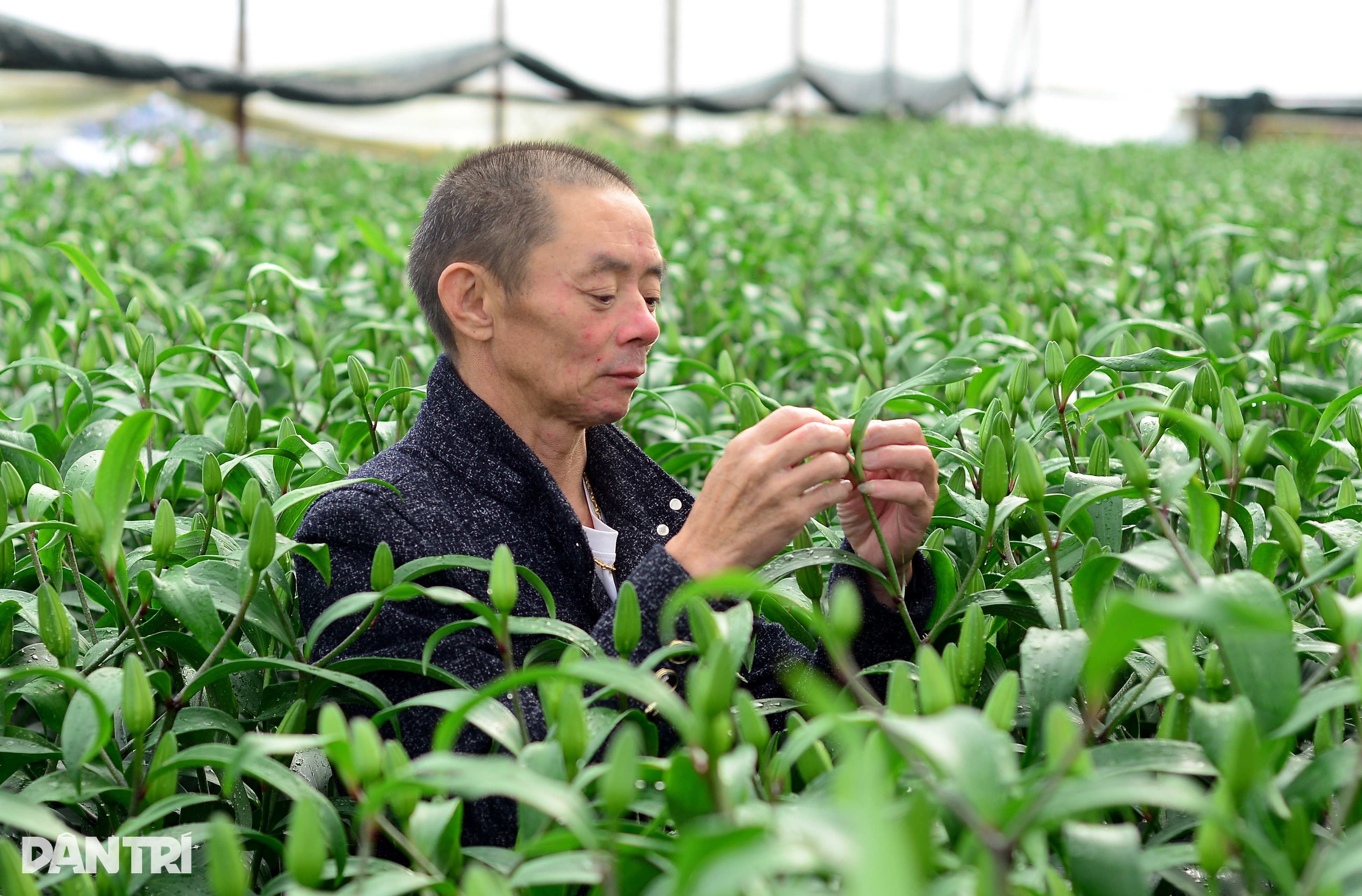 Đi làm thuê học bí quyết làm chủ, về bán vườn cà phê để khởi nghiệp - 2 Đi làm thuê học bí quyết làm chủ, về bán vườn cà phê để khởi nghiệp - 2