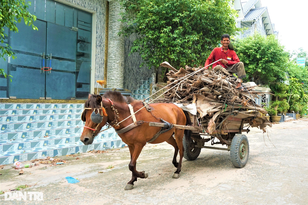 Siêu xe mui trần, chạy bằng... cỏ kiếm nửa triệu mỗi ngày - 1 Siêu xe mui trần, chạy bằng... cỏ kiếm nửa triệu mỗi ngày - 1