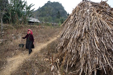 Hà Giang quay quắt khát