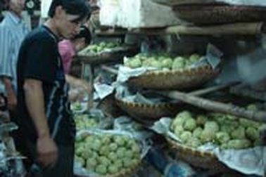 Hà Nội: Na cho thị trường Trung thu cháy chợ