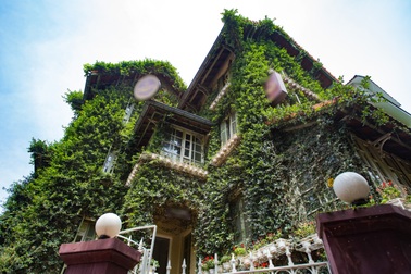 Chiêm ngưỡng biệt thự “độc nhất” Hà Nội, 3 tầng phủ kín dây leo chằng chịt