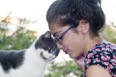 Nghiên cứu mới về thuốc cho mèo cho thấy hi vọng cải thiện bệnh tim ở người.