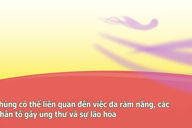 Mùa hè đến đừng quên thứ này nếu không muốn da lão hóa, sinh bệnh