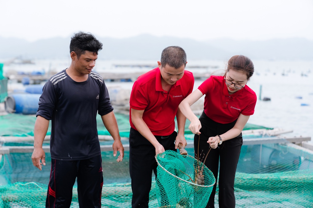 Agribank đồng hành tháo gỡ khó khăn, đẩy mạnh cung ứng vốn cho nền kinh tế - 3 Agribank đồng hành tháo gỡ khó khăn, đẩy mạnh cung ứng vốn cho nền kinh tế - 3
