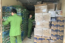 Tạm giữ lô hàng không rõ nguồn gốc