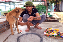 Anh thanh niên cứu chim chóc, động vật bị bỏ rơi: "Họ bảo tôi điên"