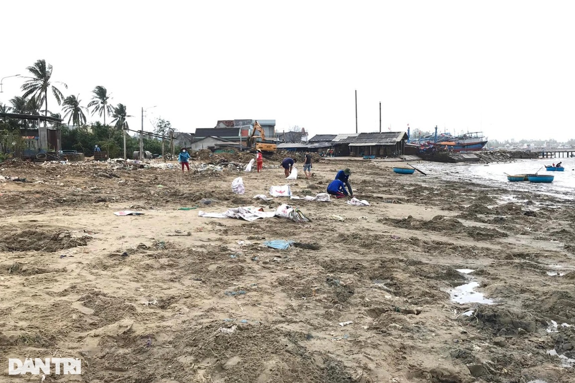 Hàng trăm người trẻ cần mẫn thu gom rác thực hiện Tử tế với Sa Kỳ - 5 Hàng trăm người trẻ cần mẫn thu gom rác thực hiện Tử tế với Sa Kỳ - 5