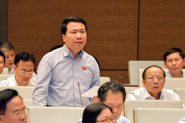 Làm sao "bếp lò cải cách" củi tươi đưa vào cũng phải cháy