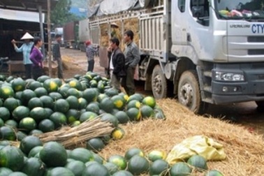 Đề nghị Trung Quốc tạo điều kiện thuận lợi cho hàng Việt