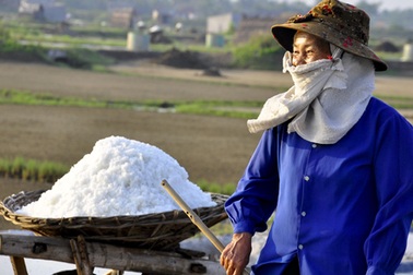 Nồng nàn giữa miền miền muối trắng 
