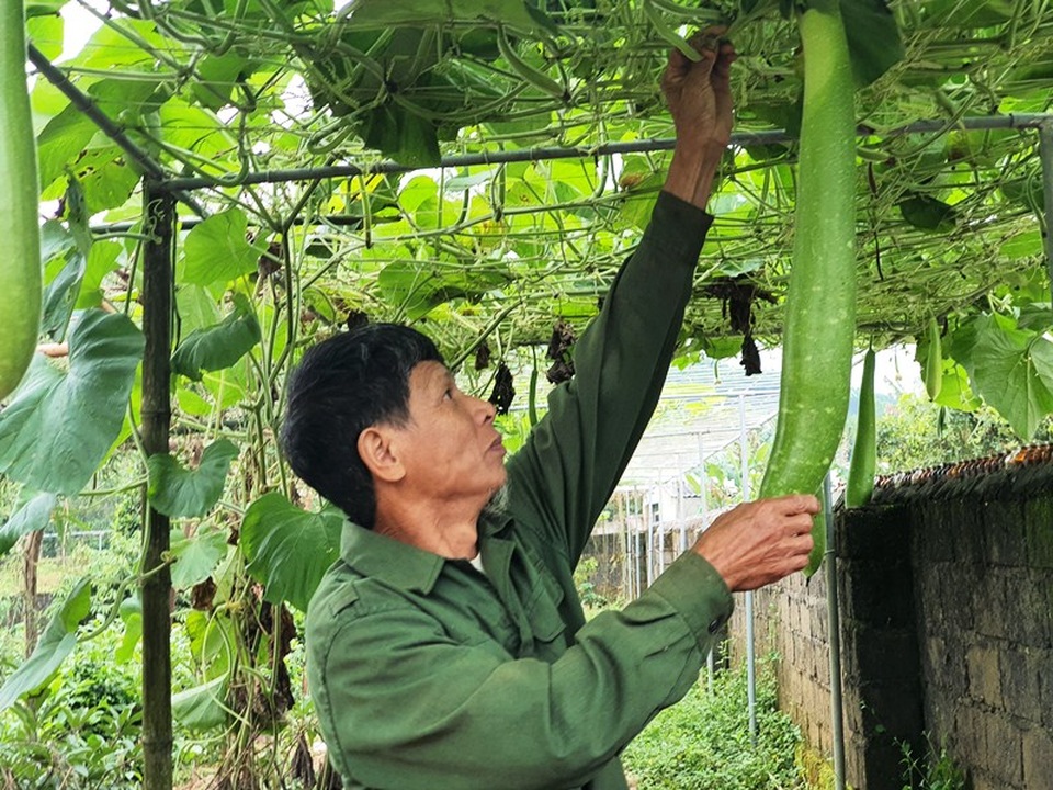 Shipper 0 đồng giúp giải cứu nông sản mùa dịch Covid-19 - 5 Shipper 0 đồng giúp giải cứu nông sản mùa dịch Covid-19 - 5