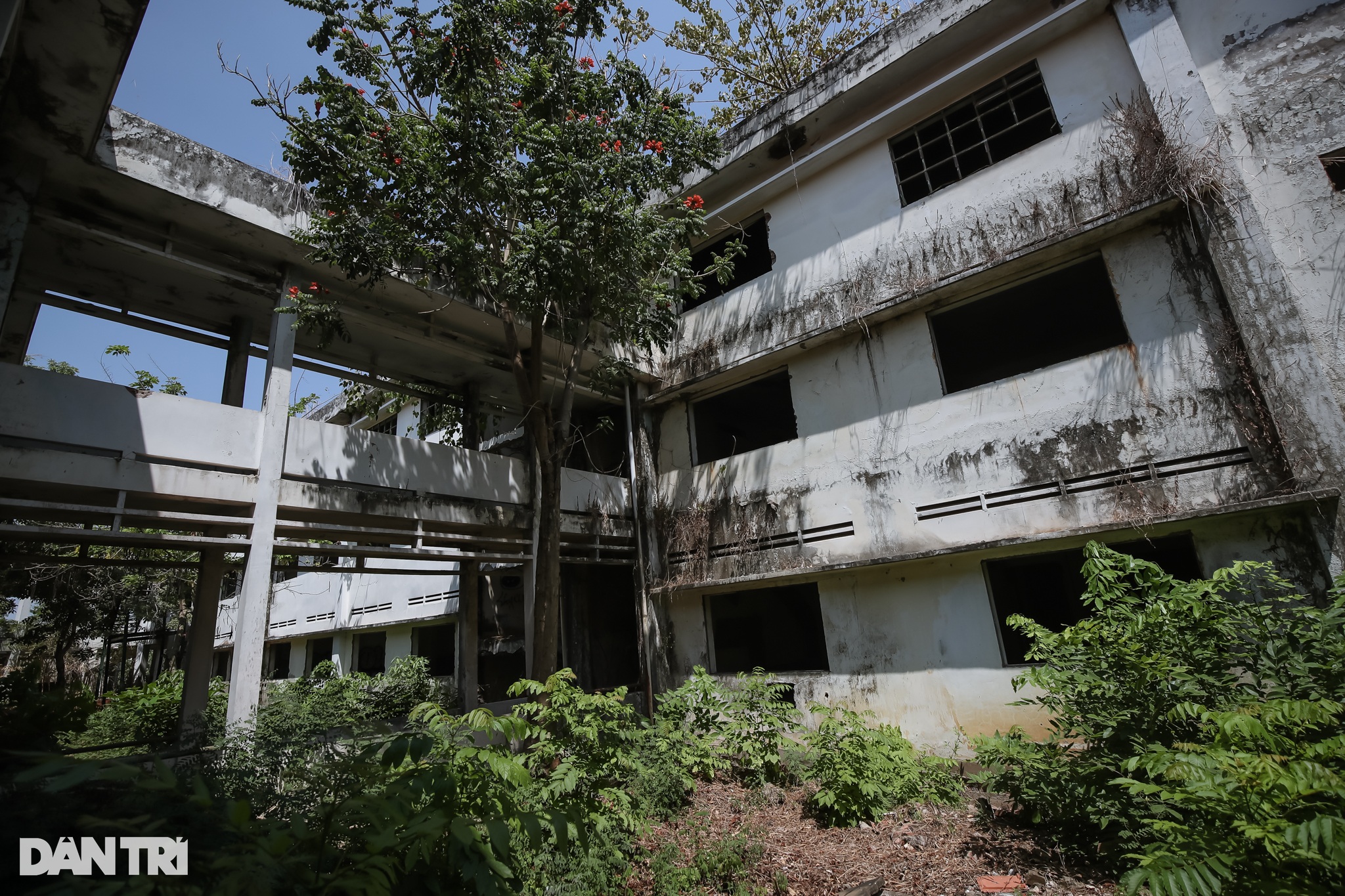 Ngôi trường xây gần 20 tỷ đồng, bỏ hoang 15 năm ở TPHCM - 2