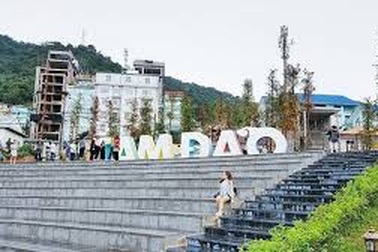 Tam Đảo: Homestay ngày thường vẫn xấp xỉ mức quá tải