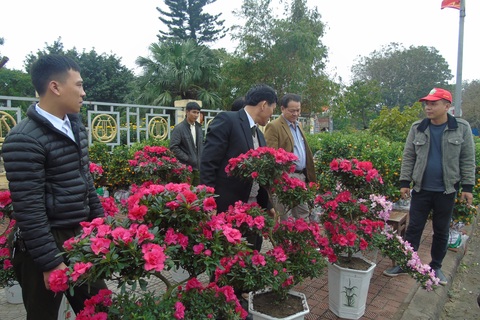 Tranh thủ tạnh mưa, người dân đổ xô đi sắm tết