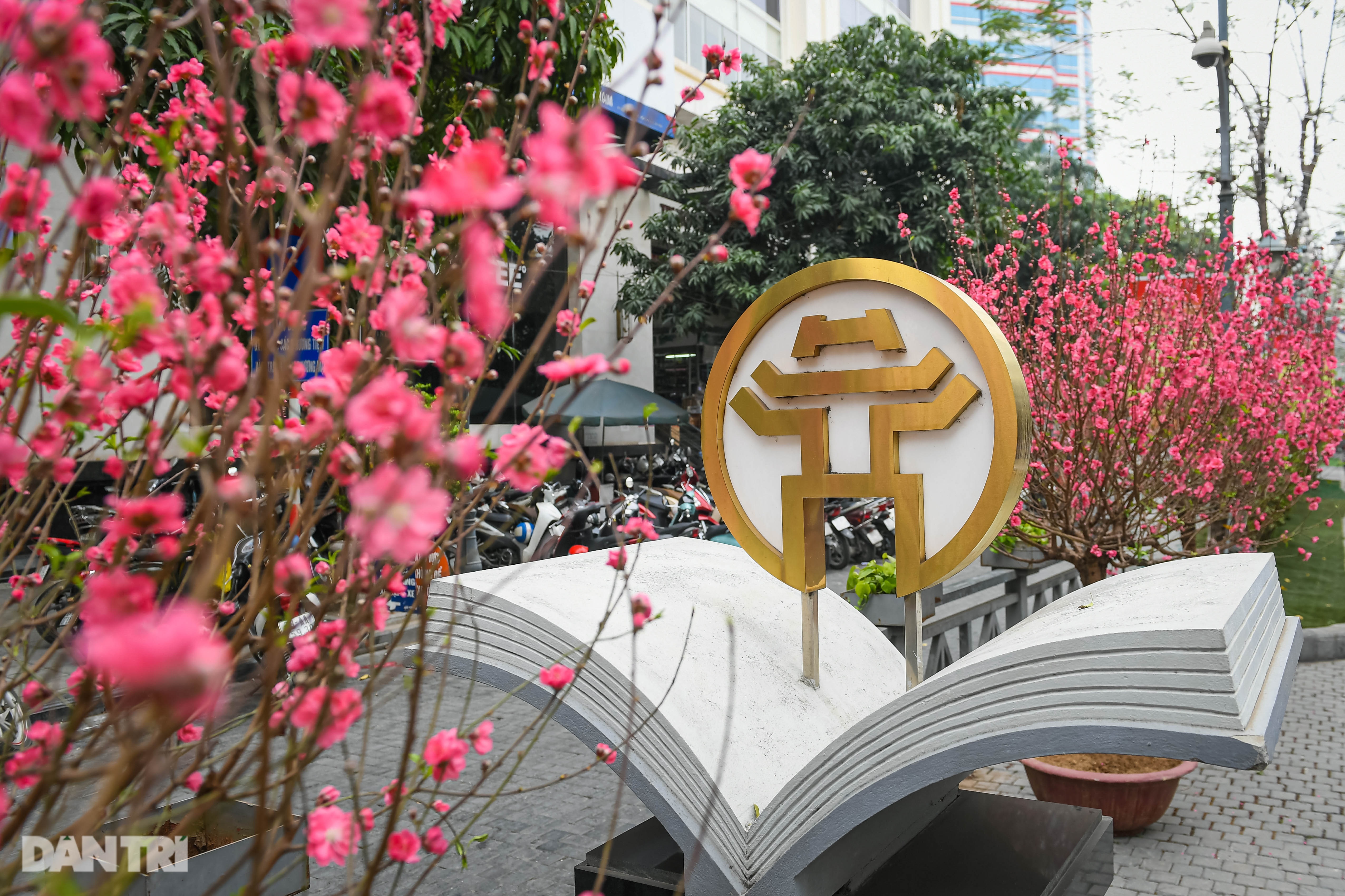 Hà Nội khoác áo mới rực rỡ chào đón Tết Tân Sửu 2021 - 14 Hà Nội khoác áo mới rực rỡ chào đón Tết Tân Sửu 2021 - 14