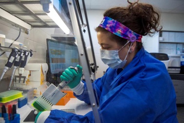 Nghiên cứu tìm ra bằng chứng Omicron ít nghiêm trọng hơn các chủng khác