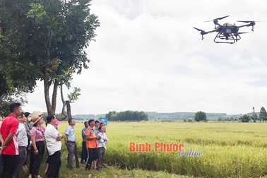 Xem nông dân thăm ruộng, phun thuốc bằng máy bay