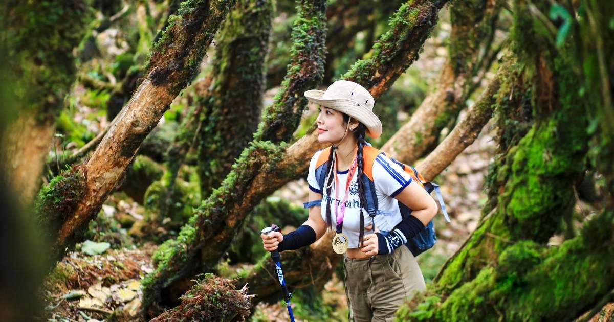 View - Ngắm nhìn khu rừng nguyên sinh đẹp như cổ tích trên đỉnh núi mới ở Tà Xùa | Báo Dân trí