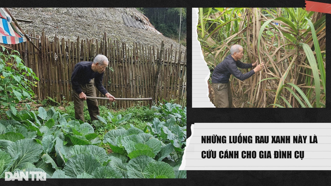 Bạn đọc Dân trí giúp đỡ người cựu binh già hơn 110 triệu đồng - 3 Bạn đọc Dân trí giúp đỡ người cựu binh già hơn 110 triệu đồng - 3