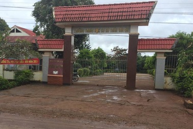 Đề nghị xử phạt lãnh đạo trường sửa học bạ và tổ chức dạy thêm trái quy định