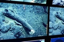 Sinh vật lai giữa 2 quái thú "trốn" dưới đáy biển suốt 200.000 năm