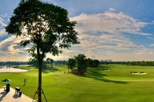 “Sống xanh” - xu hướng hòa mình với thiên nhiên tưởng khó mà dễ