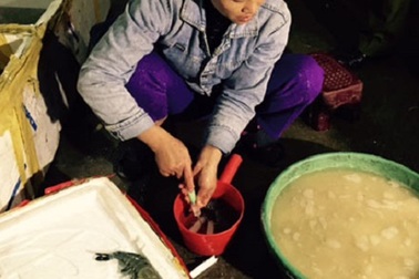  Lật tẩy công nghệ bơm bột, tạp chất vào tôm đông lạnh 