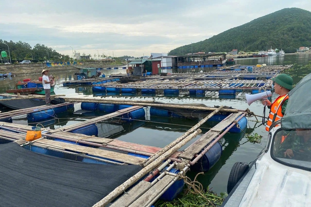 Bão số 3 chưa vào đất liền, Nghệ An đã có thiệt hại về người - 2 Bão số 3 chưa vào đất liền, Nghệ An đã có thiệt hại về người - 2