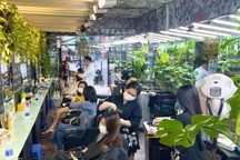 Người đàn ông "biến" tiệm tóc thành vườn kiểng, nhiều cây giá trăm triệu