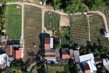 Những người gom nắng "khơi màu", gọi Tết