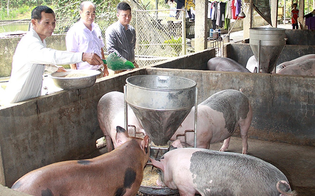 Nông dân Yên Bái học và làm theo Bác - 2 Nông dân Yên Bái học và làm theo Bác - 2