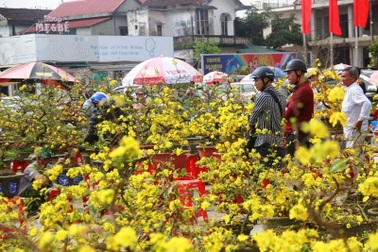 Người dân Quảng Trị hối hả mang hương Tết về nhà