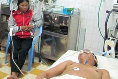 2 người tử vong sau uống rượu ngâm rễ lá rừng là do có lẫn lá ngón