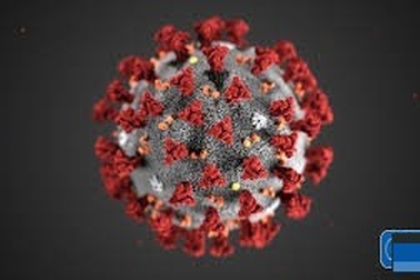 Covid-19 sống được bao lâu trên từng loại bề mặt?