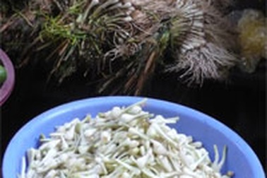 Củ kiệu “mở hàng” thực phẩm tết