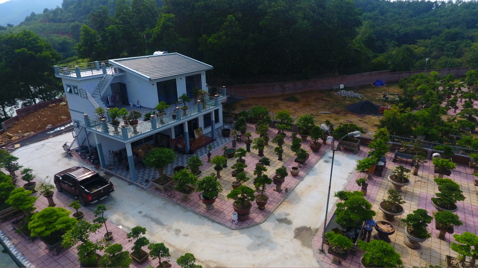 Chiêm ngưỡng nhà vườn toàn siêu cây bạc tỷ của ông vua cây cảnh - 2 Chiêm ngưỡng nhà vườn toàn siêu cây bạc tỷ của ông vua cây cảnh - 2