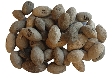 Nhà máy sản xuất vũ khí đầu tiên trên thế giới tồn tại cách đây 7.200 năm