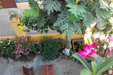 Ảnh dự thi số 8: Vườn nhà lảnh lót tiếng chim hót