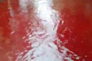 Đường phố Bangladesh nhuộm đỏ màu máu trong lễ hiến tế