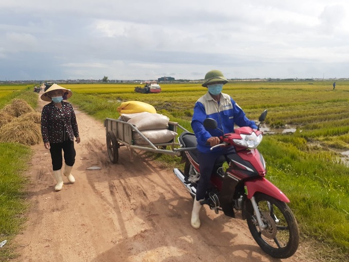 Quảng Bình: Tập trung thu hoạch lúa giúp dân vùng dịch - Ảnh 1.