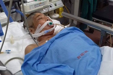 Cặp vợ chồng thợ hồ bị xe bồn tông thương vong