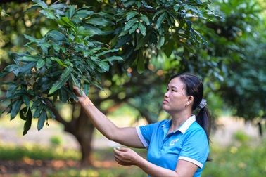 Phó Chủ tịch Hội Phụ nữ xã người Nùng làm tốt công tác bình đẳng giới