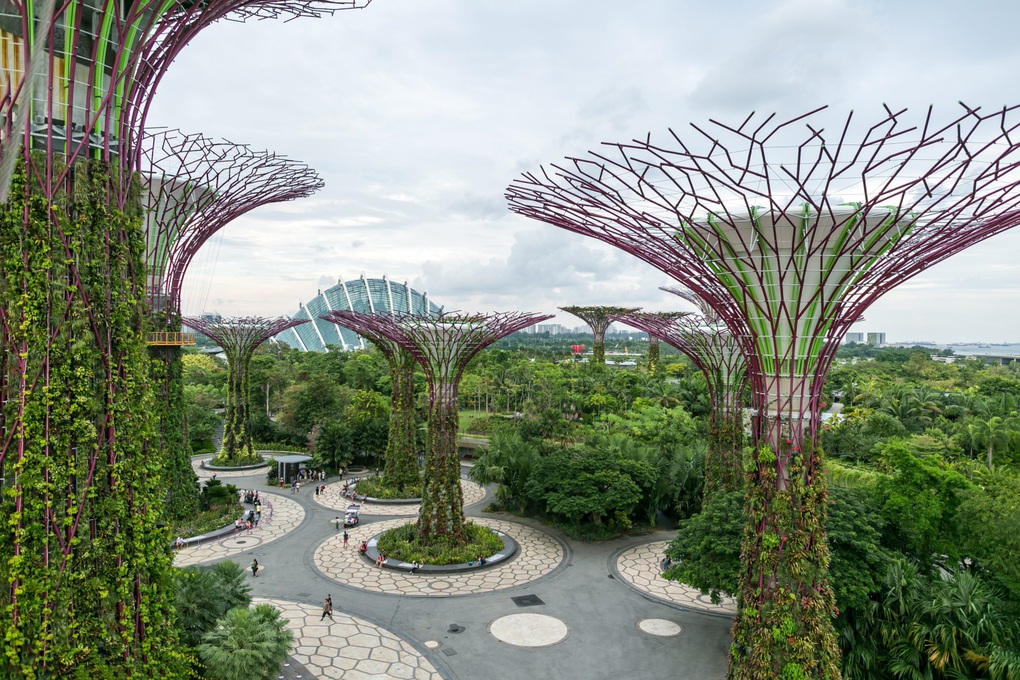 5 lý do giúp người dân Singapore sống thọ hàng đầu thế giới - 3 5 lý do giúp người dân Singapore sống thọ hàng đầu thế giới - 3